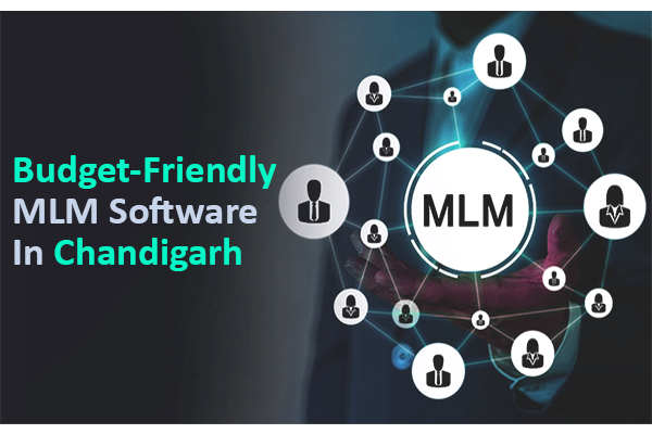 Affordable MLM Software